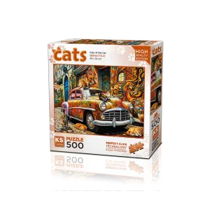 20073 Serhat Filiz Kedili Araba 500 Copy