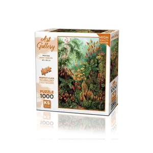 20702 Ernst Haeckel Muscinae