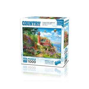 20817 Dominic Davison Country Coast Lighthouse 1000 Copy