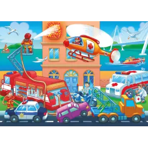 31009 Poster