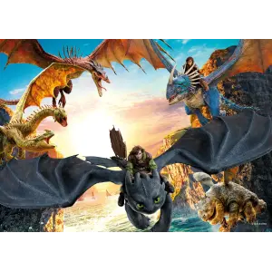 Hd714 Howtotrainyourdragon 100 Parca Poster