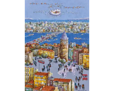20072 5