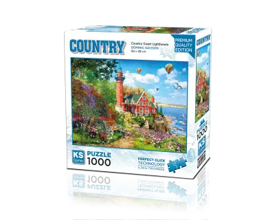 20817 Dominic Davison Country Coast Lighthouse 1000 Copy