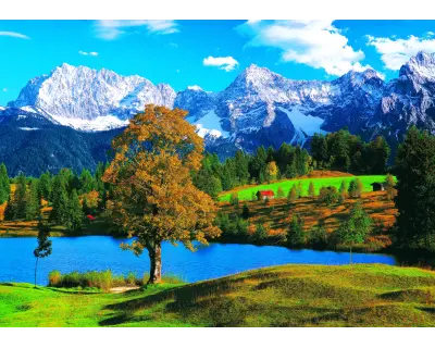 22535 Bavarian Alps Sally Curtis 2000 Kutu