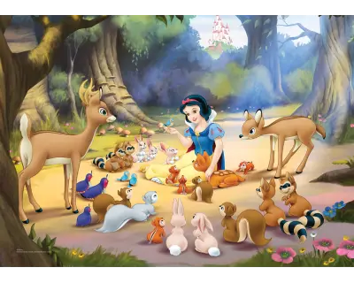 2015 Princess Puzzle 50 47 02