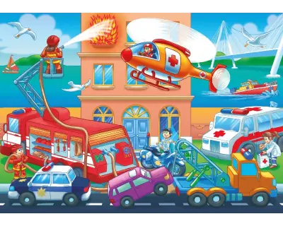 31009 Poster