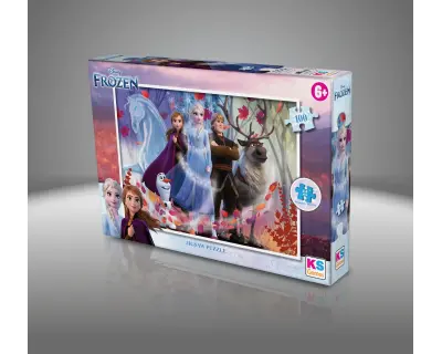 Frz714 Puzzle 100