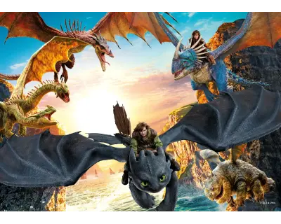 Hd714 Howtotrainyourdragon 100 Parca Poster