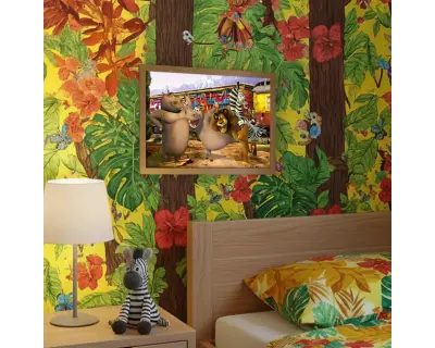 Mg709 Madagascar 50 Parca Interior