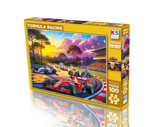 Formula Racing 100 Parça