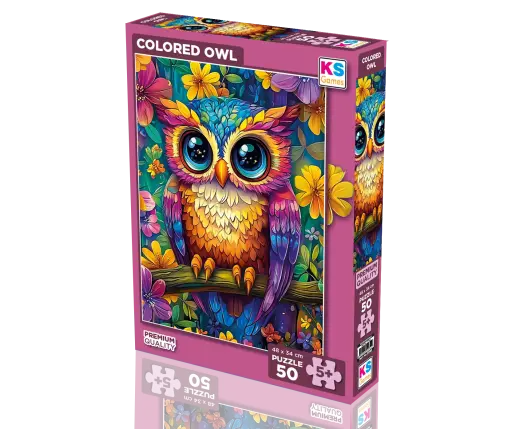 Colored Owl 50 Parça